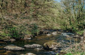 Fox Tor Apartment - Foto 1