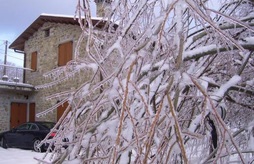 Agriturismo Il Falco del Monte Fumaiolo - Foto 55