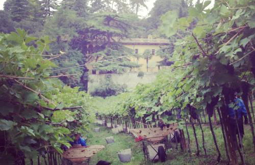 Villa Sogara - Foto 37