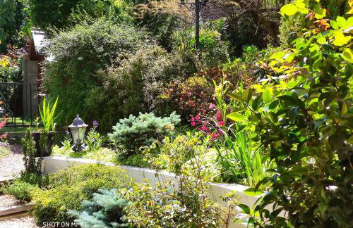 Au Petit Bonheur - Foto 28