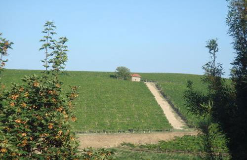 Agriturismo Relais "il Bricco" - Foto 118