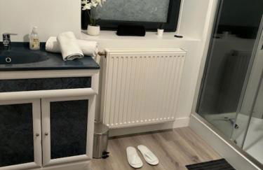 les gites du corsen - Foto 10