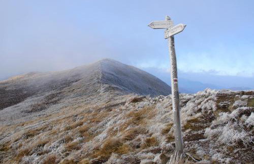 Domek Skowronek z basenem - Foto 35