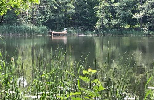 Ferienwohnung am Rathsburgsee - Foto 43