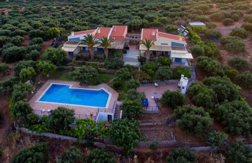 Olive Garden Houses - Photo 23