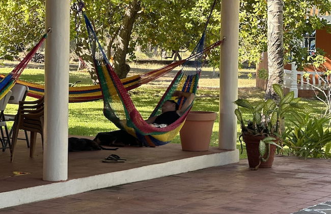 Paradise Bay - Foto 58