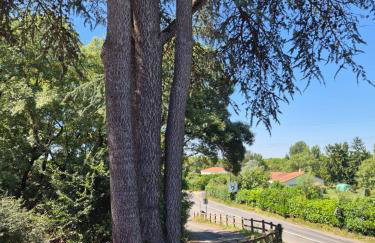 La longère du Moulin, logement T2 indépendant tout équipé avec cuisine, parking individuel avec portail, salon de jardin, belle grande chambre - Foto 11