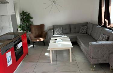 Sahara Falcon - Photo 8