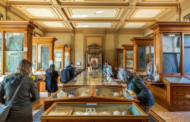 Elegant Chalet 25 km Amsterdam - Foto 40