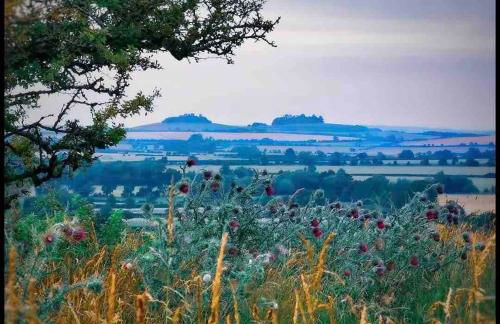 Oxfordshire Country Cottage - Foto 72