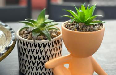 Pool Oasis with Mountain Views - Foto 24