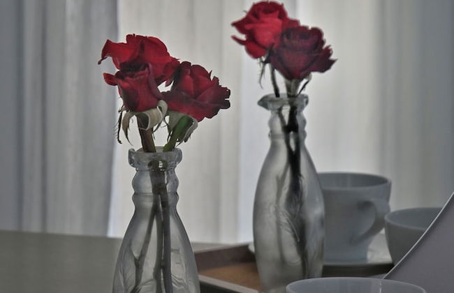 Lagouvardos Apartments - Foto 3