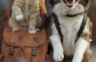 Recanto do Sossego - Foto 1