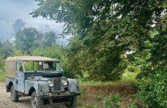 Arboris - Retreat into the open - Photo 48