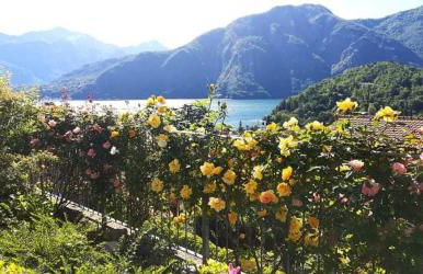 Magic Garden with Jacuzzi-Pool and Luxury Lake Como view - Foto 17