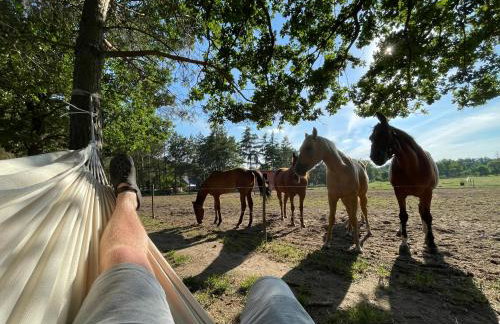 JZ Guest Ranch - Foto 14