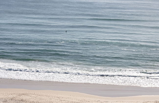 Ocean Front Escape on Palm Beach - Foto 33