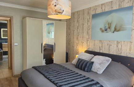 Chalet avec Jacuzzi, billard, jardin clos, proche Paradiski - Foto 30