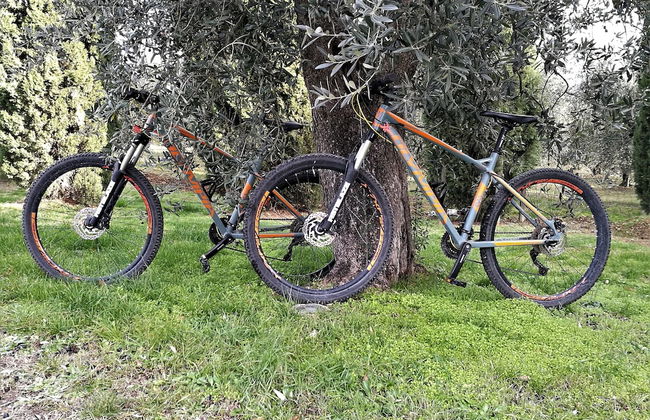 Argiano Dimore - Foto 25