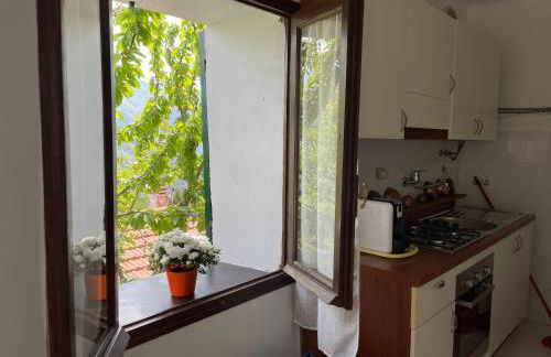 Casa di nonno Memé CITRA 008035-LT-0018 - Photo 37