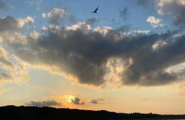 Unique and Serene Sunset Houseboat for 4 - Foto 11