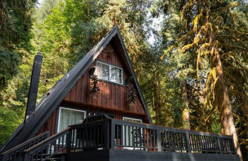 Secluded Forest Cabin with Hot Tub and Private Waterfall - Foto 31