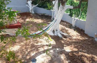 Evas Home - Foto 56