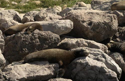 Waterfront 104 - Foto 44