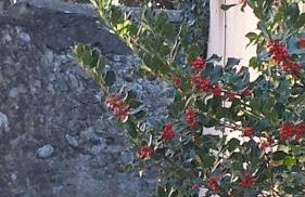 Honey Moon - Foto 34