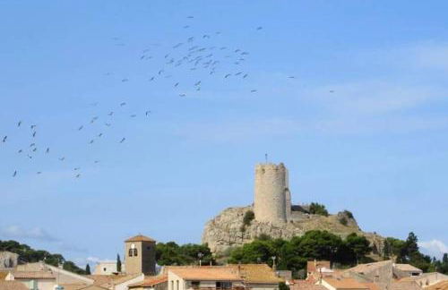 Perle méditerranéenne au coeur du port de Gruissan - Foto 11