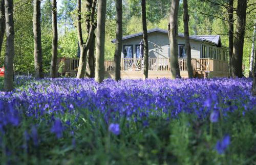 Hollicarrs - Wildflower Lodge - Photo 36
