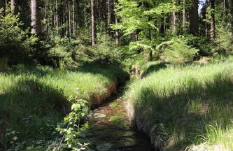 Erzgebirgsferien - Foto 10