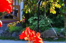 Gajówka Świt - Foto 7