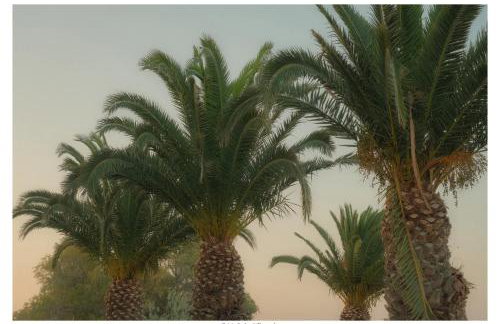 Elizas house - Foto 27