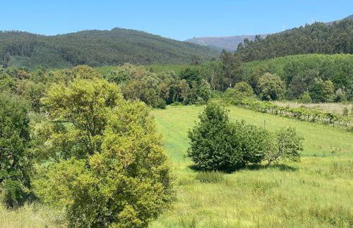 Quinta Casal de Bordeiro - Foto 14
