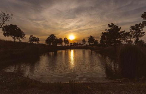 Borgo Le Colline Luxury Agriturismo in Tuscany - Foto 9