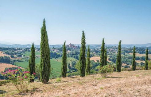 Blue Cherry - Foto 58