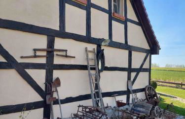 Holiday Homes Garz - Rügen - Insel Rügen 3052 - Foto 8