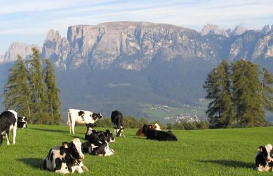 Appartments Neuhof - Photo 70
