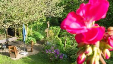 Ferienwohnung im Harz-Haus-Bruns - Photo 2, Garden