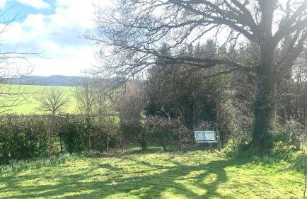 Mid-Wales Farmhouse, swimming pool, tranquil countryside views, sleeps 14 - Foto 17