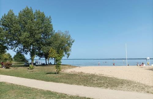 Grande maison entre Lac et forêt - Foto 55