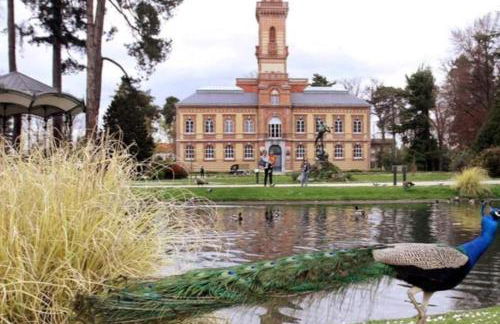 Cap Sud - 53m2- VUE PYRENEES- HYPERCENTRE-WIFI FIBRE -Nouvelle literie - Photo 32