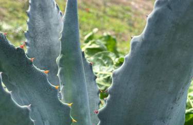 Historic Farmhouse Casa Del Chiodo - Foto 31