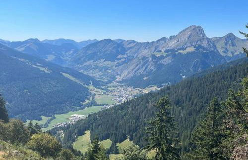 La Ferme du Nant - Portes du Soleil - Photo 62
