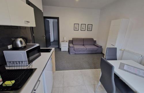 Apartament Premium Suite- Willa Lawenda - Foto 8