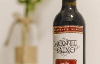 Apartamento Goa - Foto 43