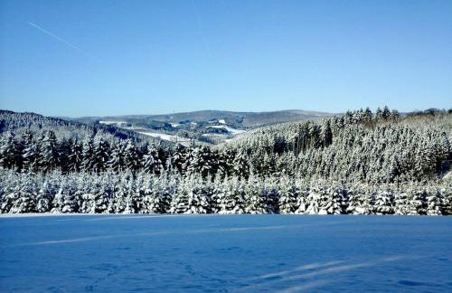 Ferienhaus Maag, 102qm - Photo 14