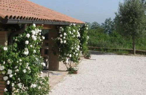 Country House - Casa Raffaella di Michele e Sven - Foto 3