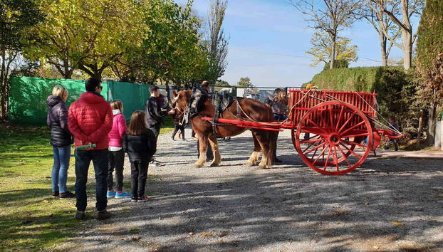 Passeio de pônei por La Manreana